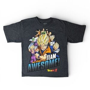 Dragon Ball Z Boys Graphic Tee Team Awesome DBZ Anime Shirt Gray